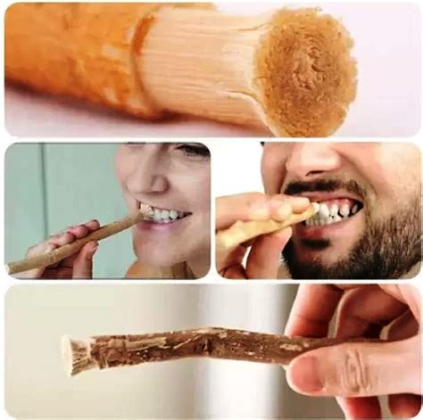 miswak tooth stick.